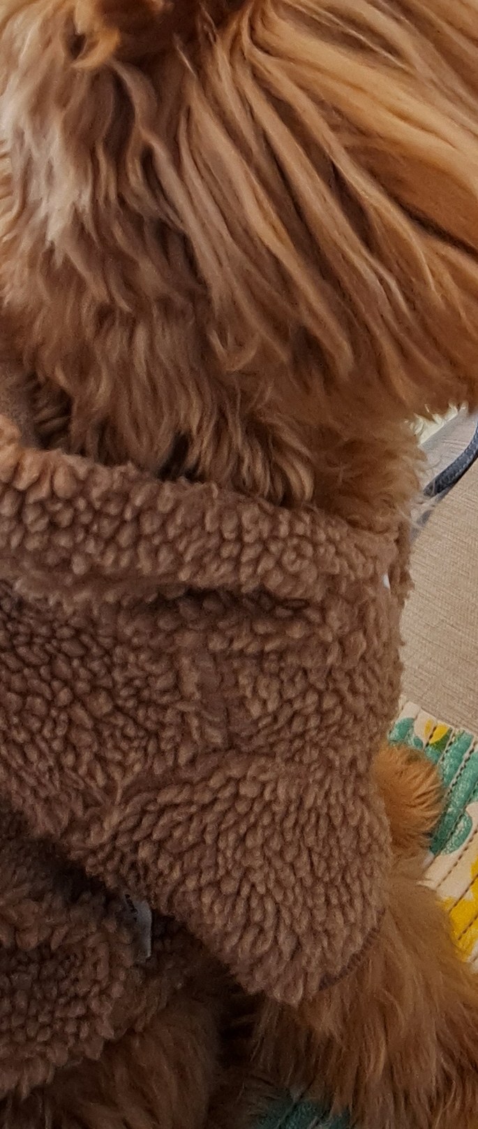 ボア服を着て、敷物の上に座るこぐまの後ろ姿